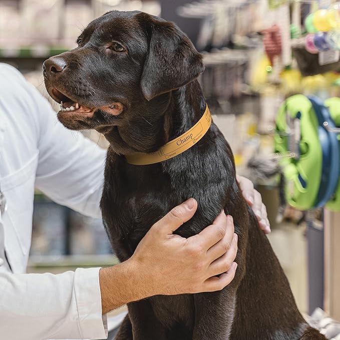 Printable Pet Collars Compatible with Various Printers and Software (Orange)