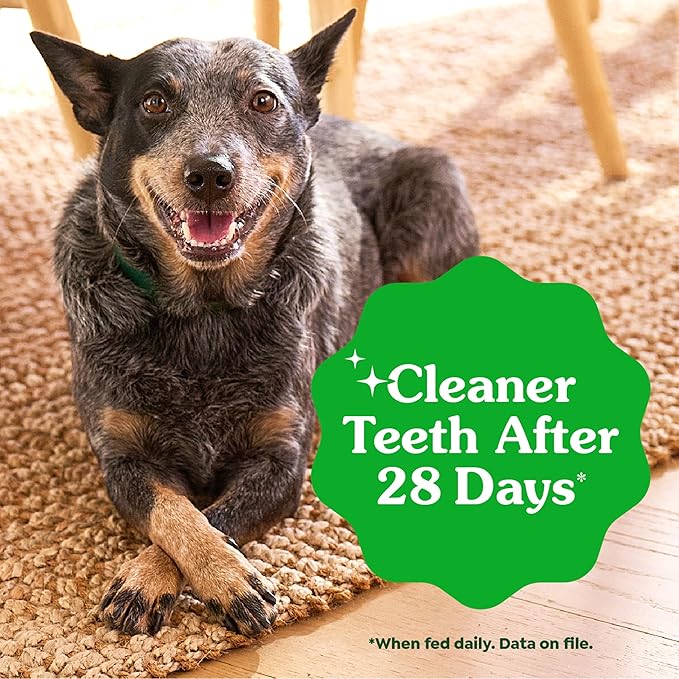 Greenies Veterinarian-Recommended Adult Natural Dental Dog Treats Petite Size, Original Flavor, 27 oz. Pack, 45 Count