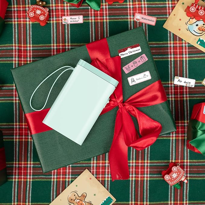 Nelko Label Maker Machine with Tape, P21 Bluetooth Label Printer, Wireless Mini Label Makers with Multiple Templates for Organizing Office Home, Green