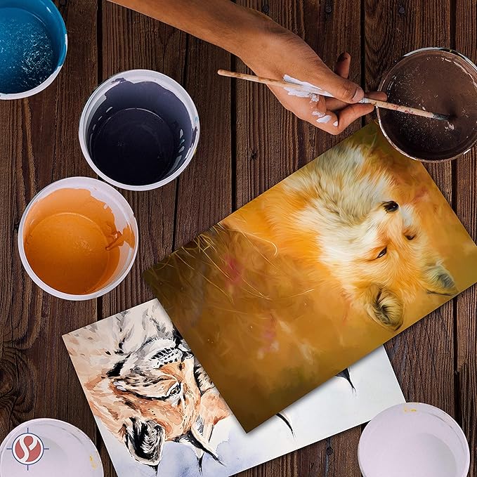 Half Letter Size Sheets - 8.5 x 5.5 Inches Copy Paper, White Memo Sheets, 24lb Thick Paper, 250 Sheets Per Pack (8.5 x 5.5)